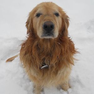 Meet your Posher, Mason